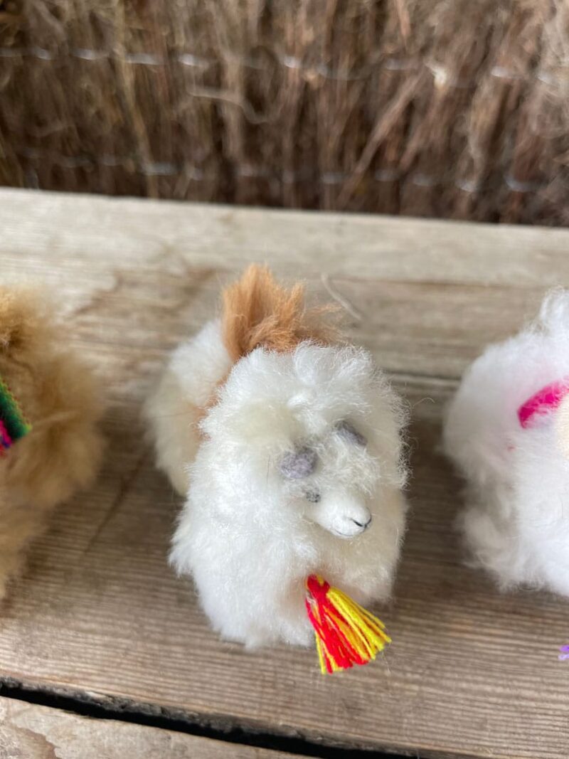 Mini Alpacas Peluche - Imagen 3