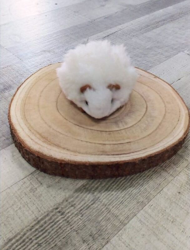 Ratón alpaca