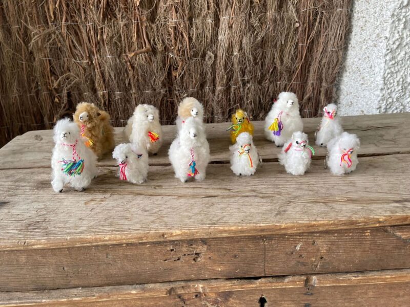 Mini Alpacas Peluche