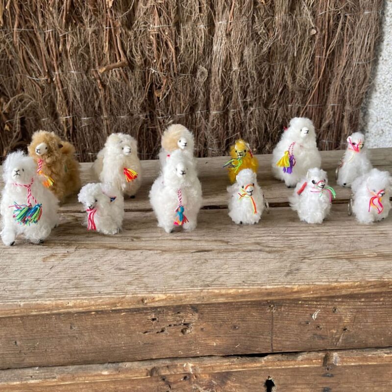 Mini Alpacas Peluche