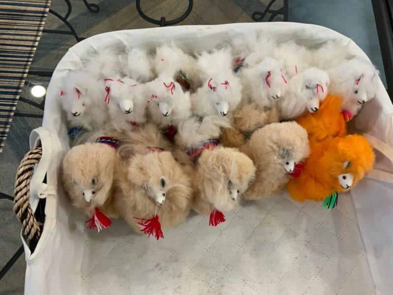 Alpacas peluche - Imagen 11