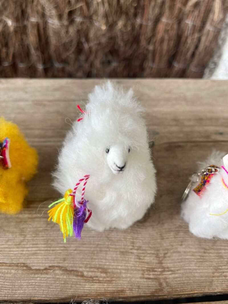Mini Alpacas Peluche - Imagen 5