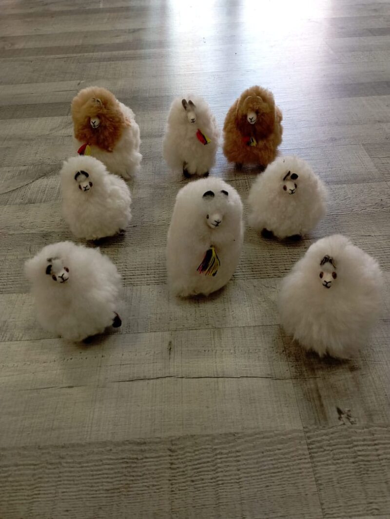 Alpacas peluche - Imagen 7