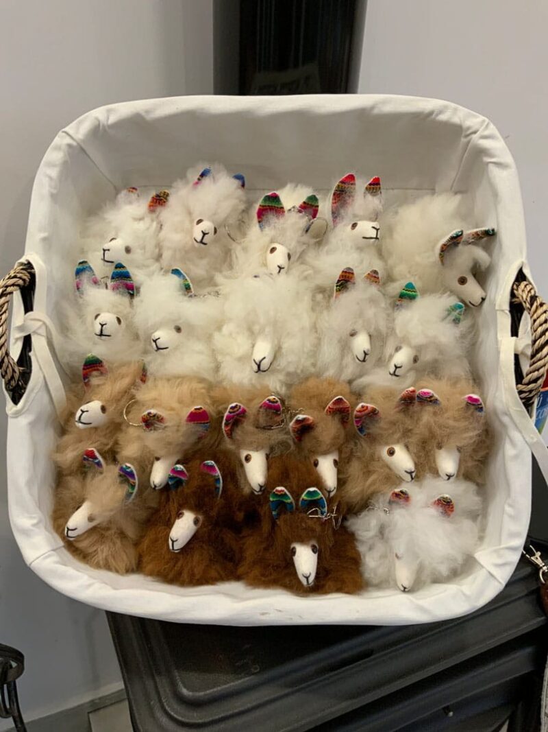 Alpacas peluche - Imagen 15