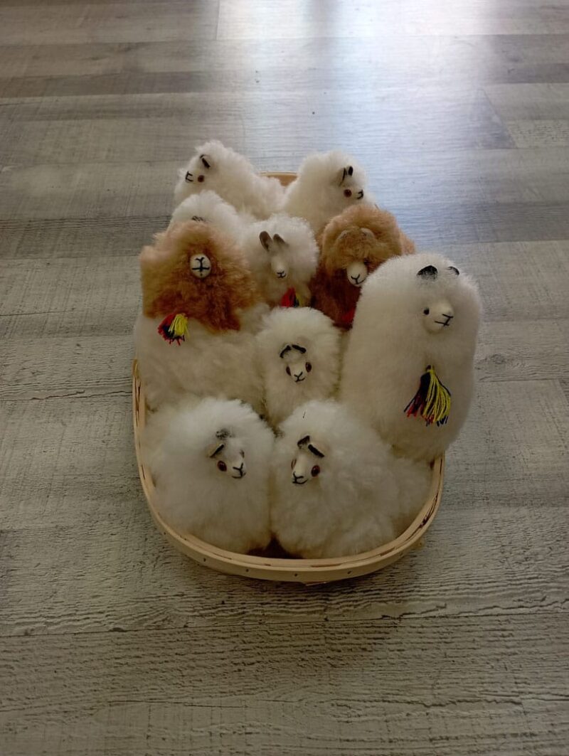 Alpacas peluche - Imagen 6