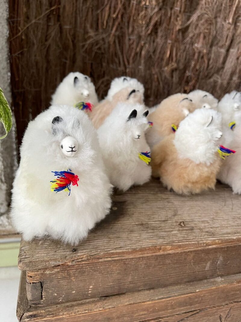 Alpacas peluche - Imagen 8