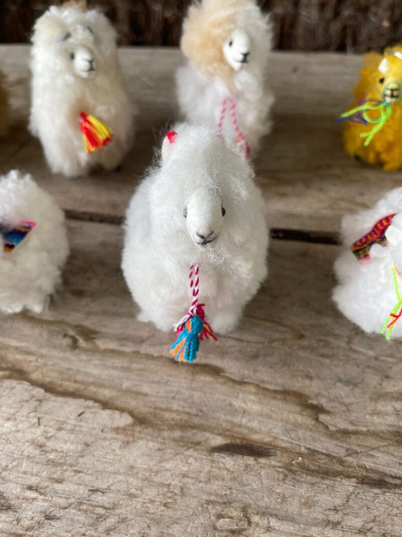 Mini Alpacas Peluche - Imagen 2
