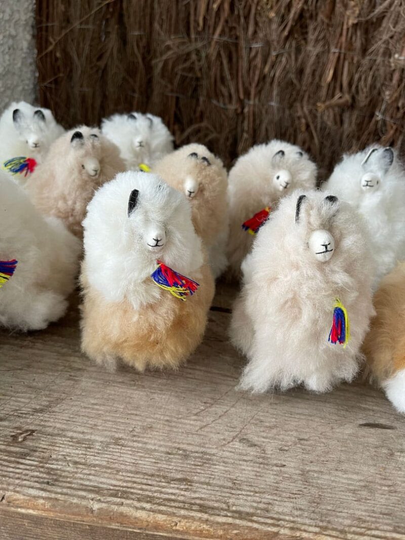 Alpacas peluche - Imagen 3