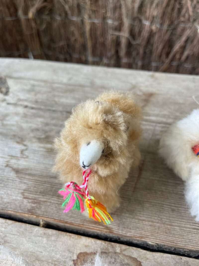 Mini Alpacas Peluche - Imagen 4