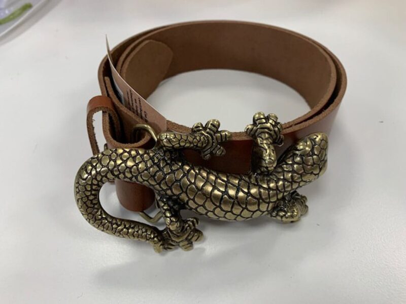 Cinturón Lagartija