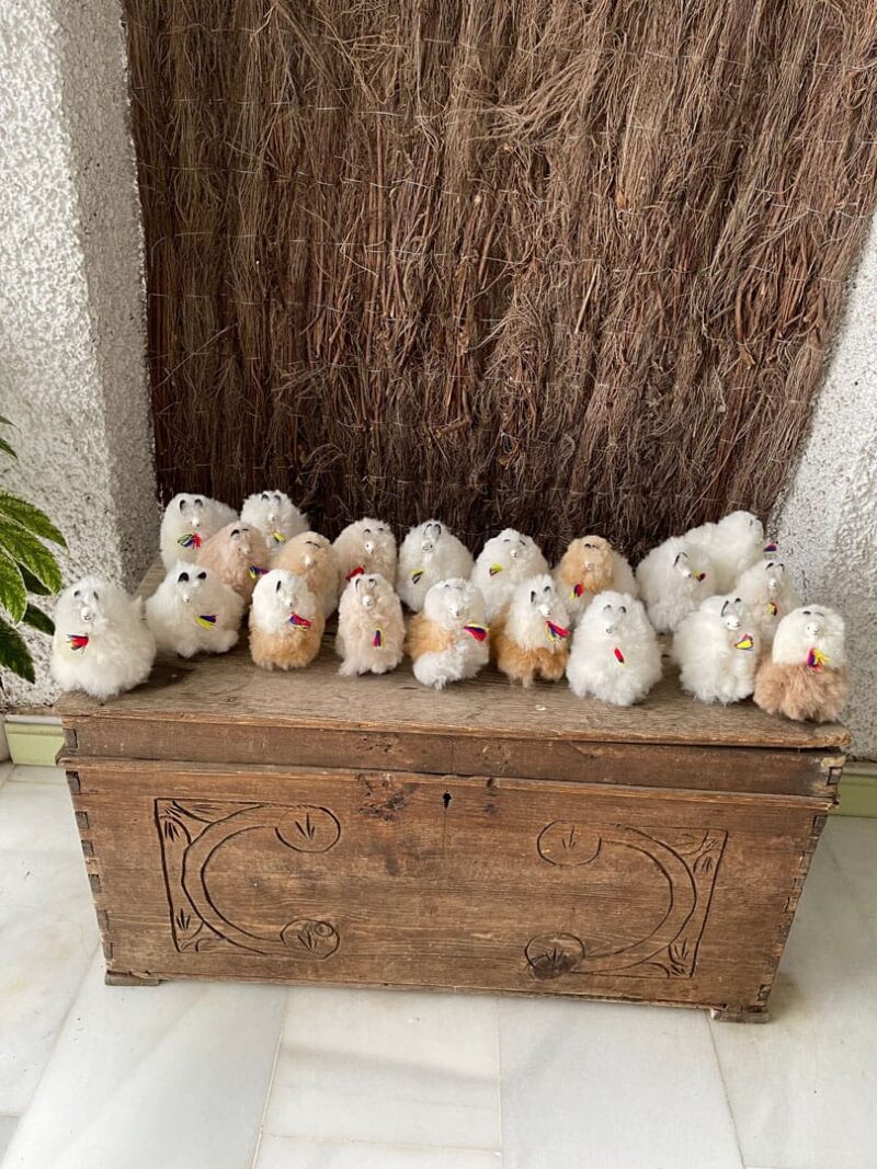 Alpacas peluche