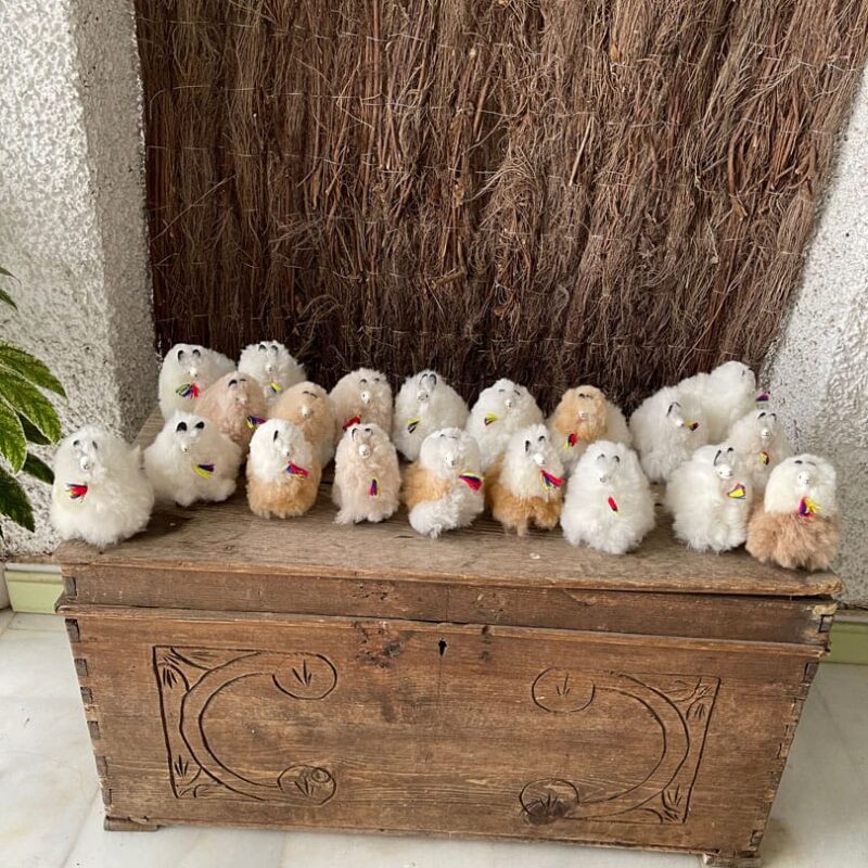 Alpacas peluche