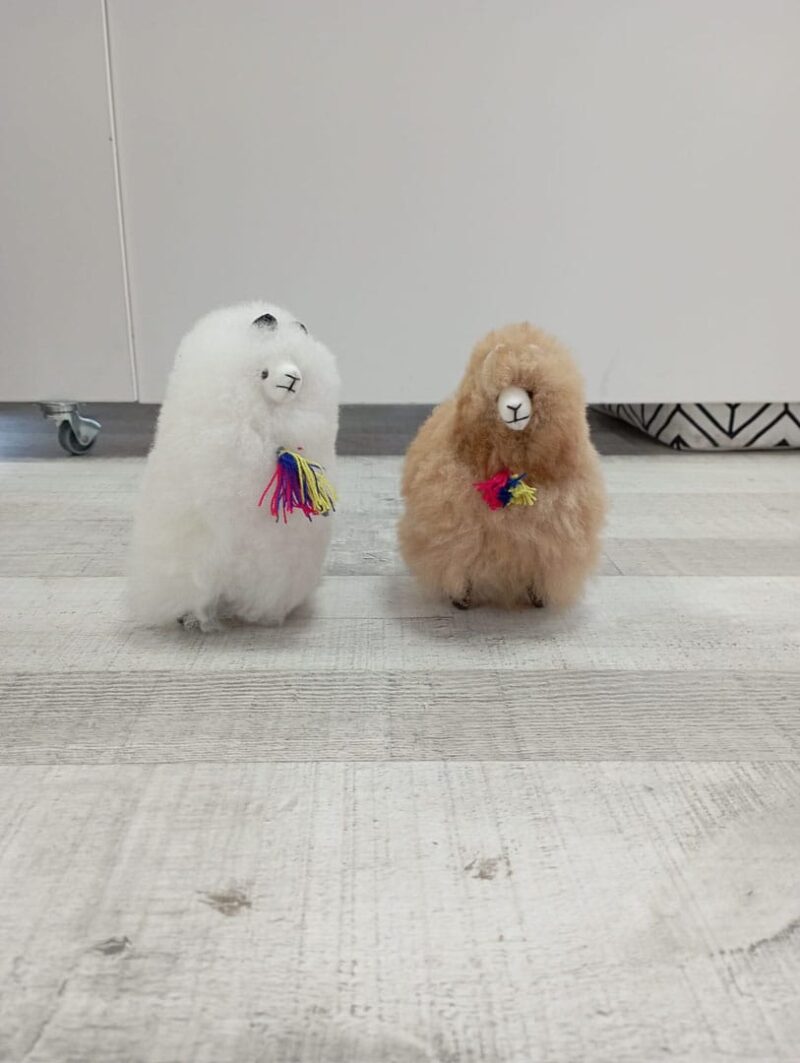 Alpacas peluche - Imagen 5