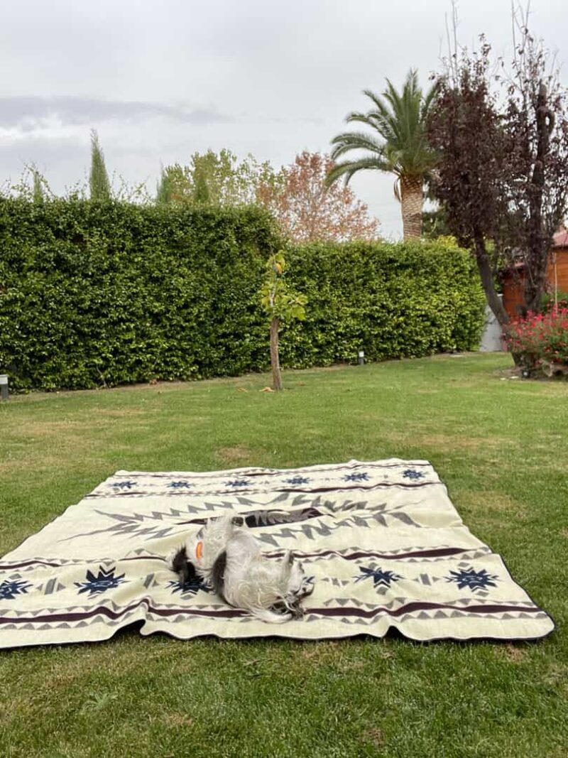 Manta Alpaca Reversible Aire - Imagen 10